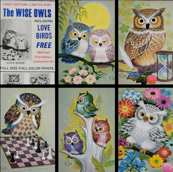 Vtg 1973 The Wise Owls Color Prints By K Chin - First Edition - Picture 16 of 16